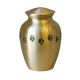 CLASSIC BRASS WITH PAW PRINTS - BRASS