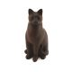 ELITE CAT - TABBY