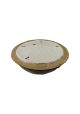 Serenity Sand Dollar